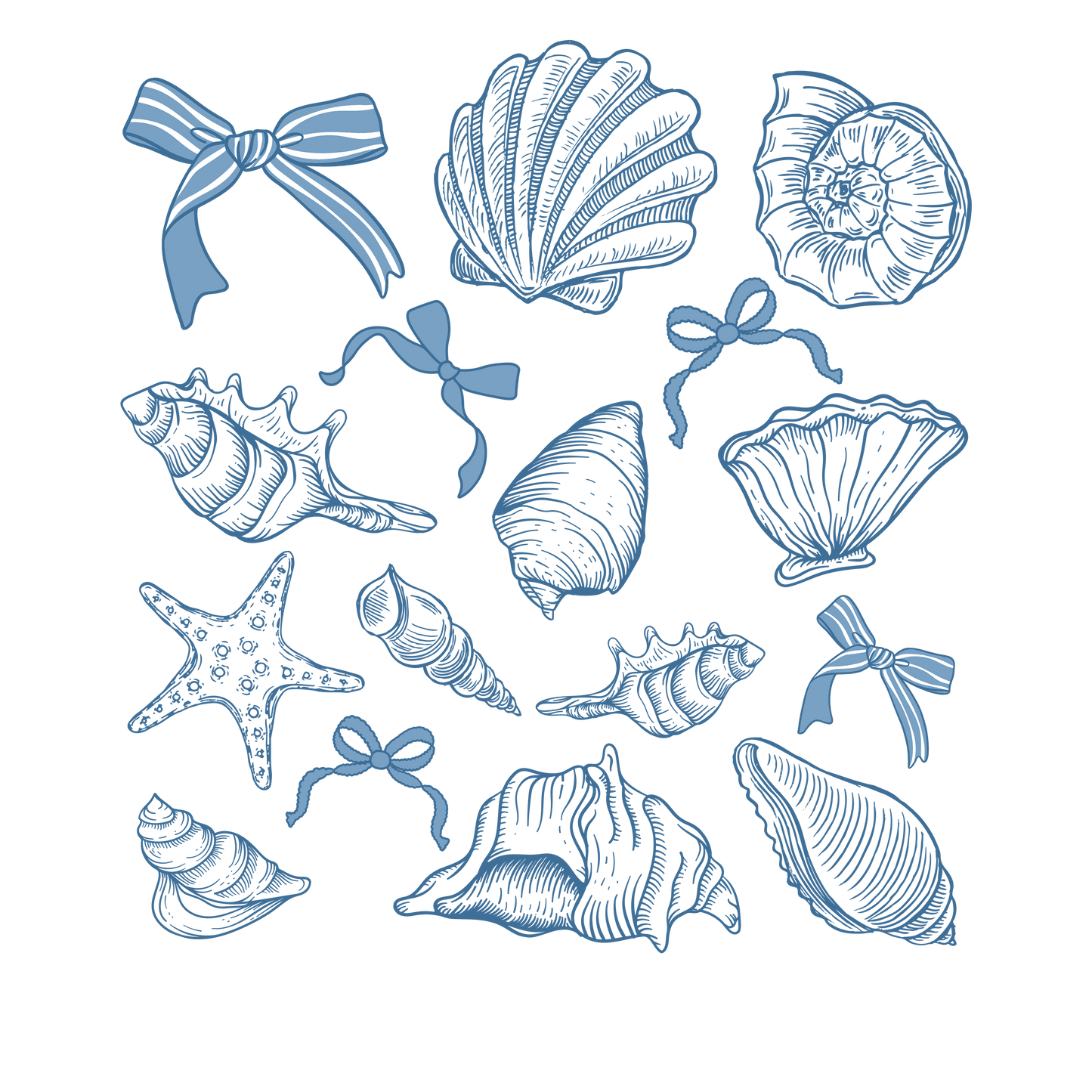 Coastal Seashells