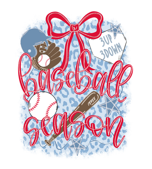 Blue Cheetah Baseball Season
