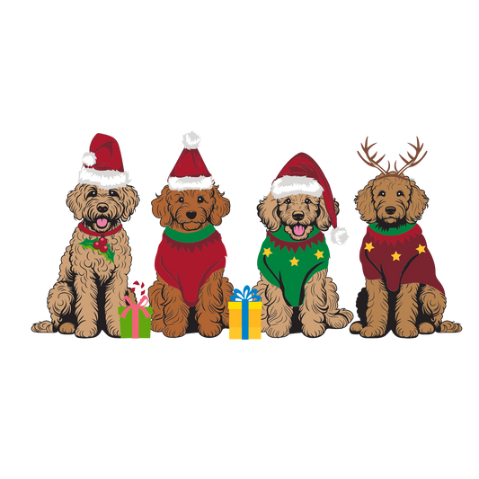 Golden-doodle Chrismtas