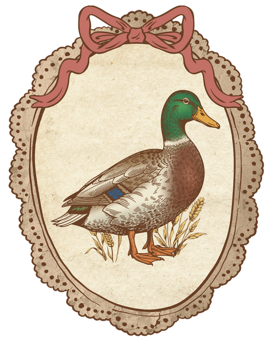 Vintage Mallard