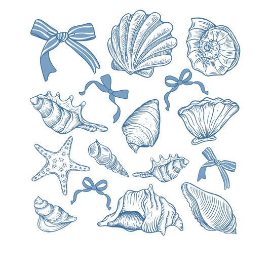 Coastal Seashells